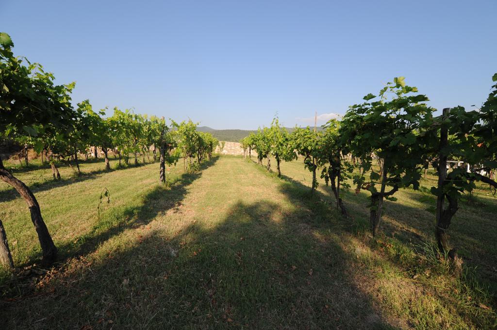 Agriturismo Scorgiano Exteriör bild
